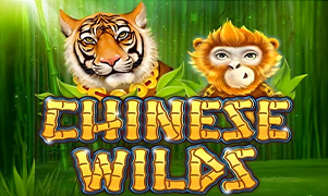 Chinese Wilds team logo